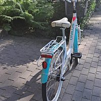 zdjecie ogloszenia