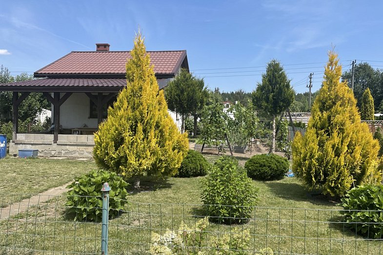 zdjecie ogloszenia