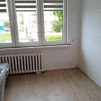zdjecie ogloszenia