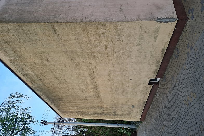 zdjecie ogloszenia