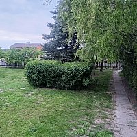 zdjecie ogloszenia