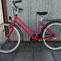 zdjecie ogloszenia