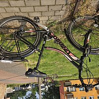 zdjecie ogloszenia