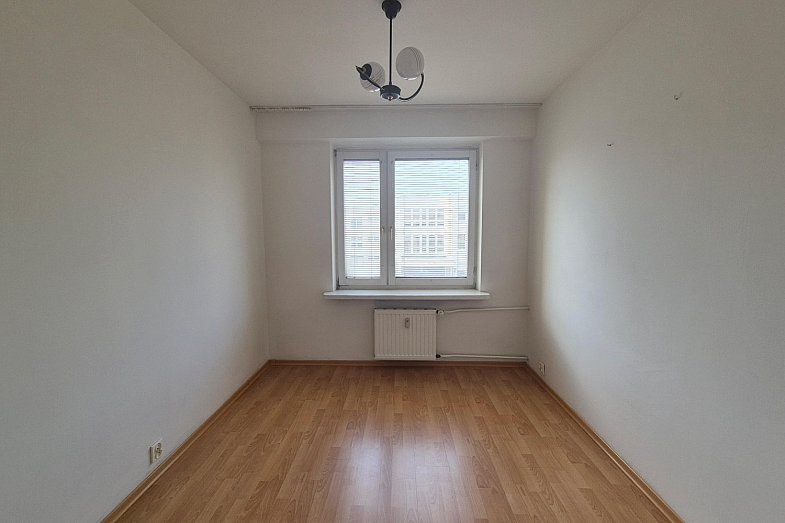zdjecie ogloszenia