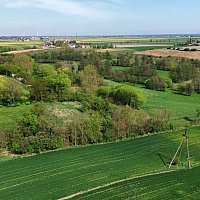 zdjecie ogloszenia