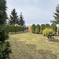 zdjecie ogloszenia