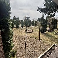 zdjecie ogloszenia