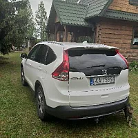 zdjecie ogloszenia