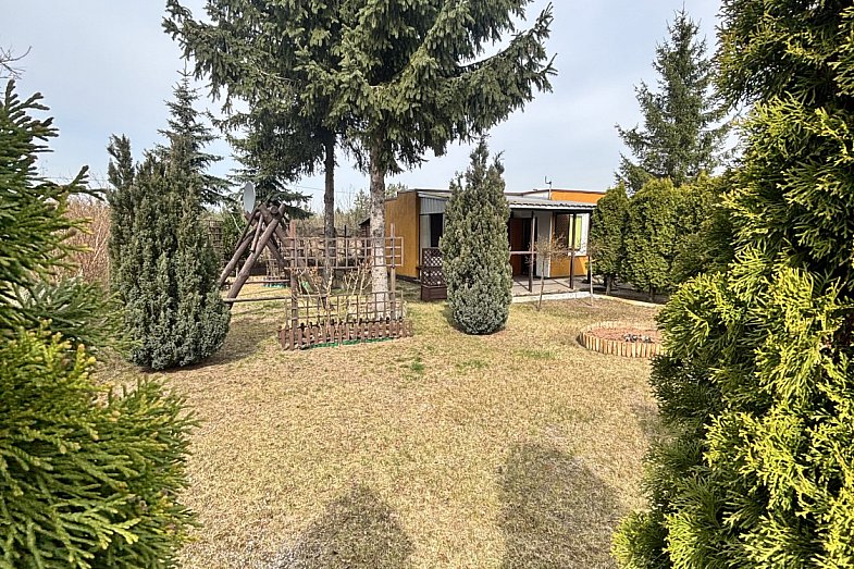 zdjecie ogloszenia