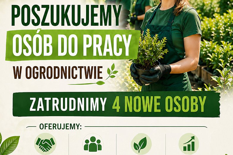 zdjecie ogloszenia