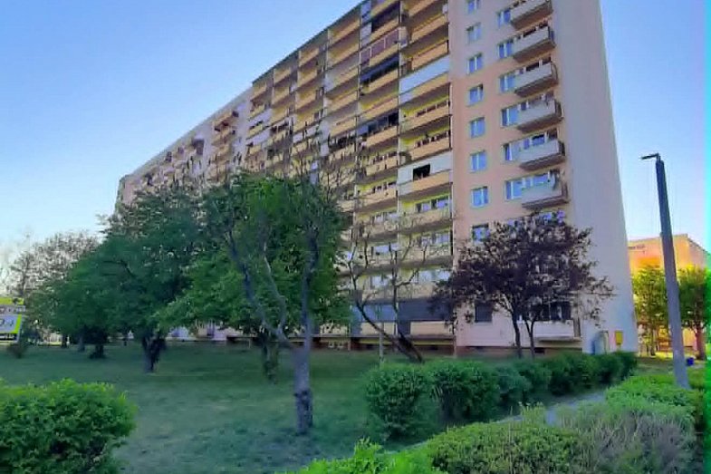 zdjecie ogloszenia