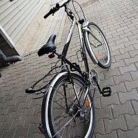 zdjecie ogloszenia