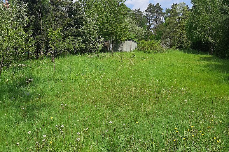 zdjecie ogloszenia