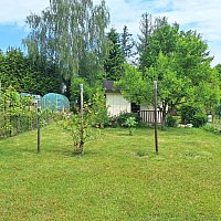 zdjecie ogloszenia