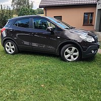 zdjecie ogloszenia