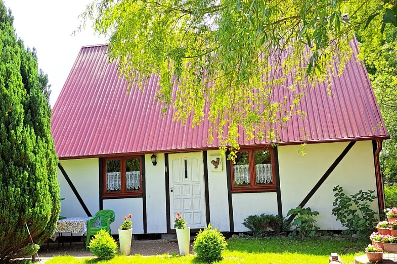 zdjecie ogloszenia