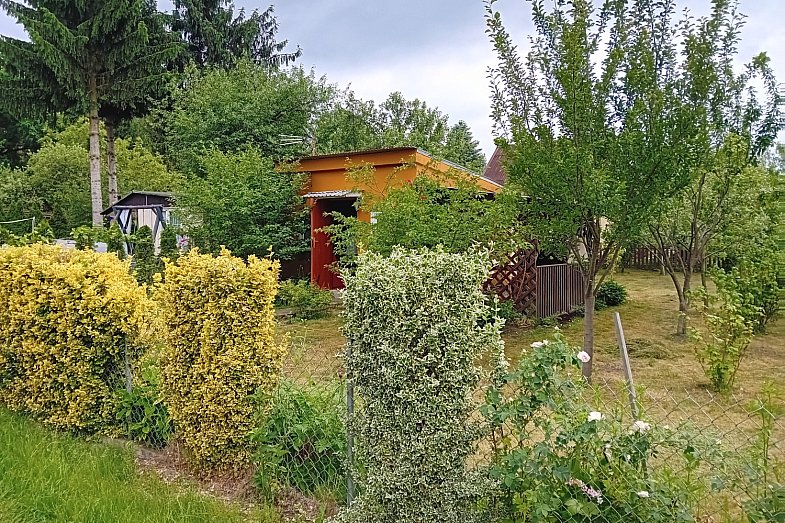 zdjecie ogloszenia