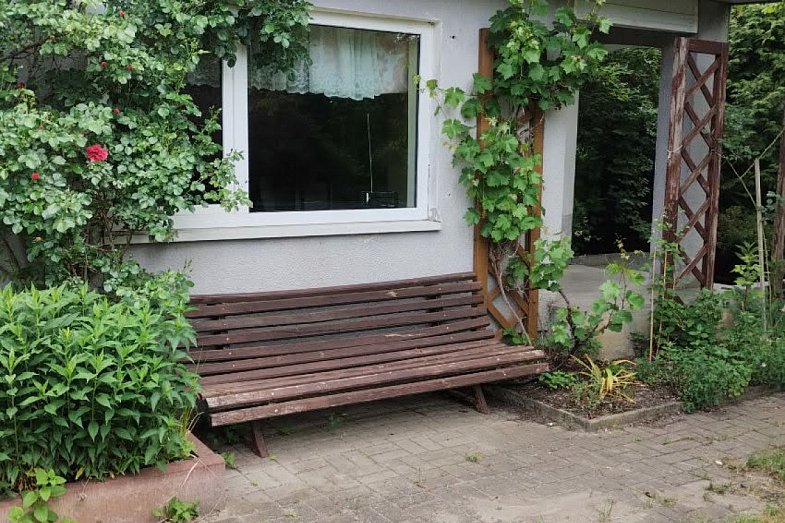 zdjecie ogloszenia