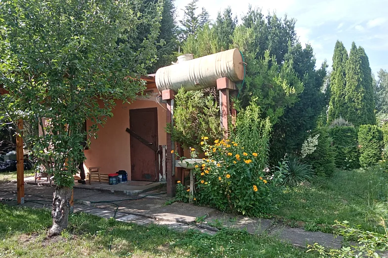 zdjecie ogloszenia