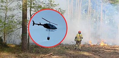 Pożar lasu we Włocławku. Do akcji ruszył śmigłowiec i Dromader [ZDJĘCIA]