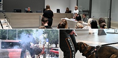 Mężczyzna z piłą w sądzie? Tak wyglądała Noc Otwartych Sądów