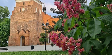 Nawet 26 stopni we Włocławku. Synoptyk ma też ważne ostrzeżenie