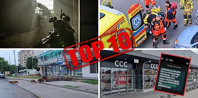 Całe miasto o tym dyskutowało. Tymi historiami żył Włocławek