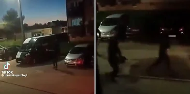 To nagranie spod Torunia obiegło internet. Nagle padły strzały [WIDEO]