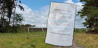 Po spacerze w tym miejscu zwierzęta konały w męczarniach. Policja bada sprawę