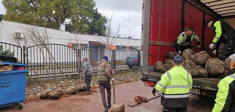 Najbardziej zielone miasto Kujaw. Kowal sadzi kolejne drzewa i krzewy