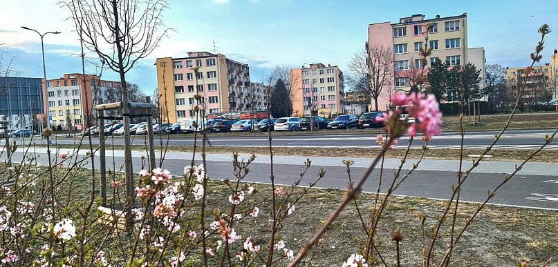 Ten tydzień zaskoczy pogodą. Początek i koniec będą zupełnie różne