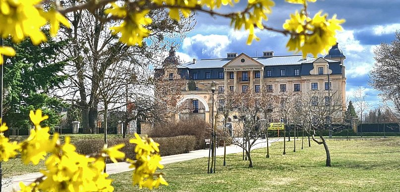 Przyda się skrobaczka do szyb? Synoptyk zdradza, co nas czeka w tygodniu