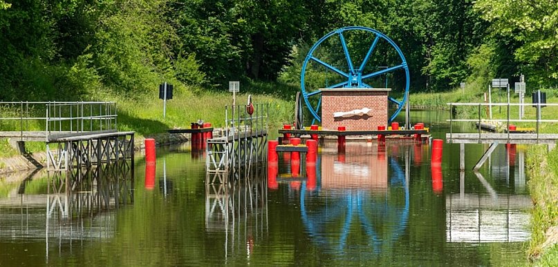 Z Włocławka na Mazury. Dlaczego seniorzy z Kujaw coraz częściej wybierają lasy war