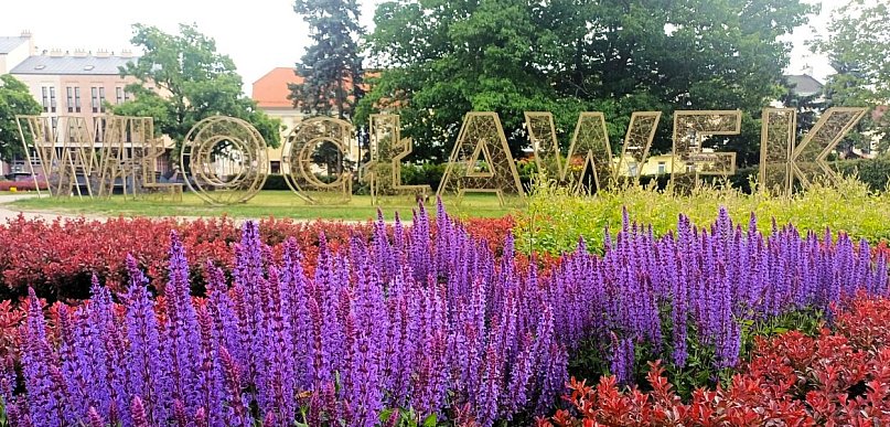 Pogoda we Włocławku zmieni się diametralnie. Synoptyk wskazuje, kiedy