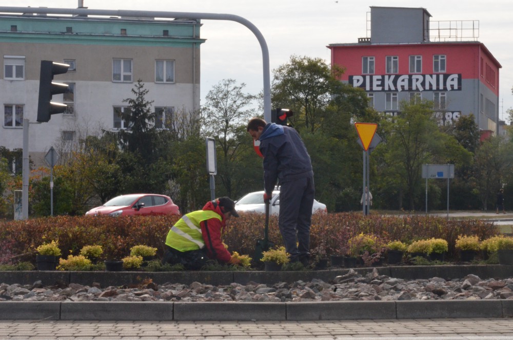Prace na skrzyżowaniu przy Tesco już się rozpoczęły. Fot. DDWloclawek.pl