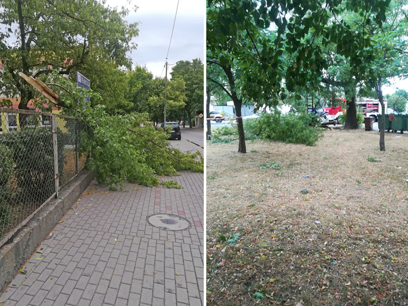 Połamane drzewa w rejonie ul. Żytniej i Barskiej we Włocławku. fot. pani Daria/nadesłane